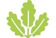 Three leaves indicating eco friendliness